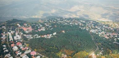 ვაკის რაიონში, წყნეთის ტყე-პარკში კომბინირებული დასასვენებელი სივრცე ეწყობა