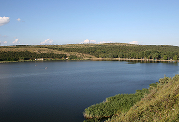 დინამო